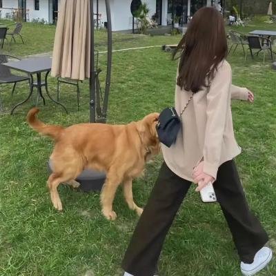 星际穿越
